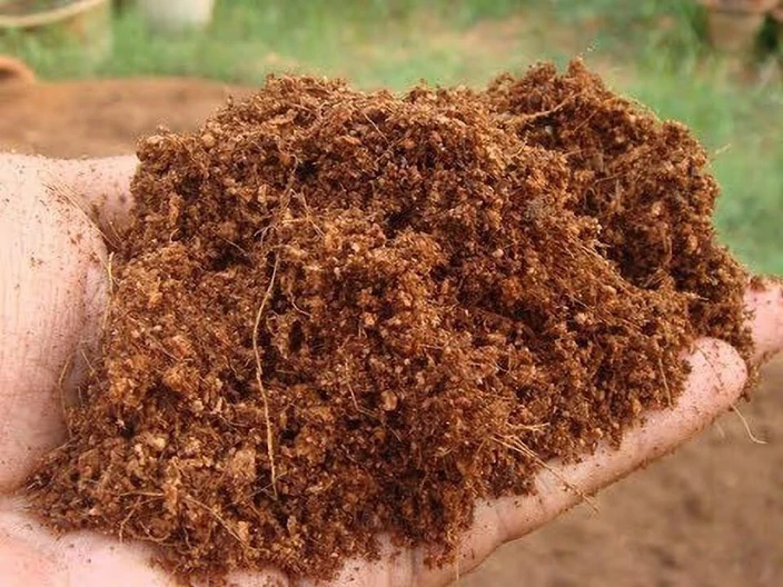 Cocopeat Block Powder (Bulk Pack)